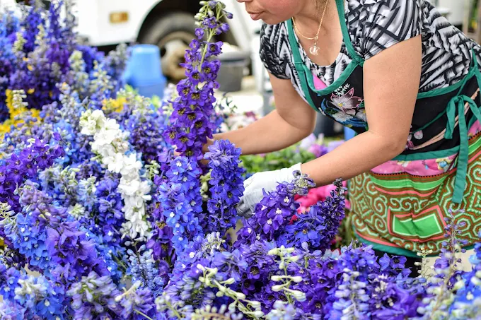 seasonal camping, Dane County Farmers Market, RV park close to Madison suburbs, Lantern DeForest, RV camping with Wi-Fi, Lant