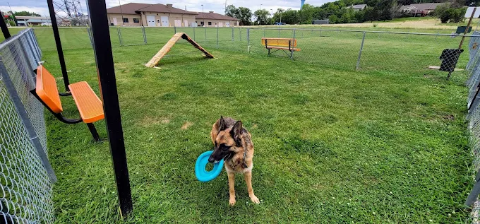 pet-friendly campground, RV camping, Lantern DeForest RV Resort Campground, Lantern DeForest pull-through RV site, Wisconsin