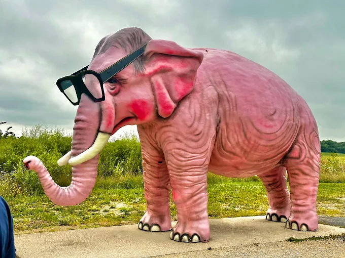 local RV park, RV park, Lantern DeForest, quiet RV park near Interstate 90, Pinkie the Pink Elephant, long-term RV stays in D